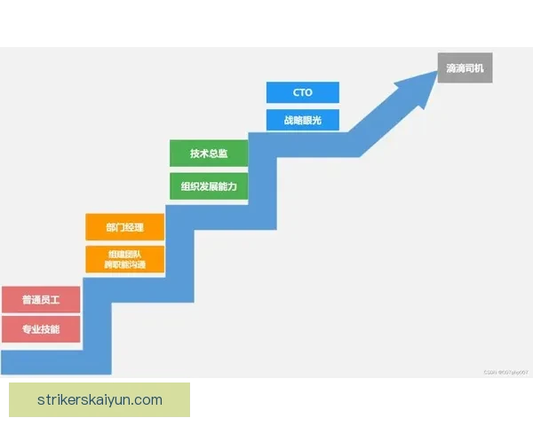 维尔茨职业轨迹分析：技术成长与未来期望并存